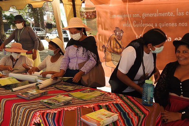 Lønnede hushjælpere, Bolivia