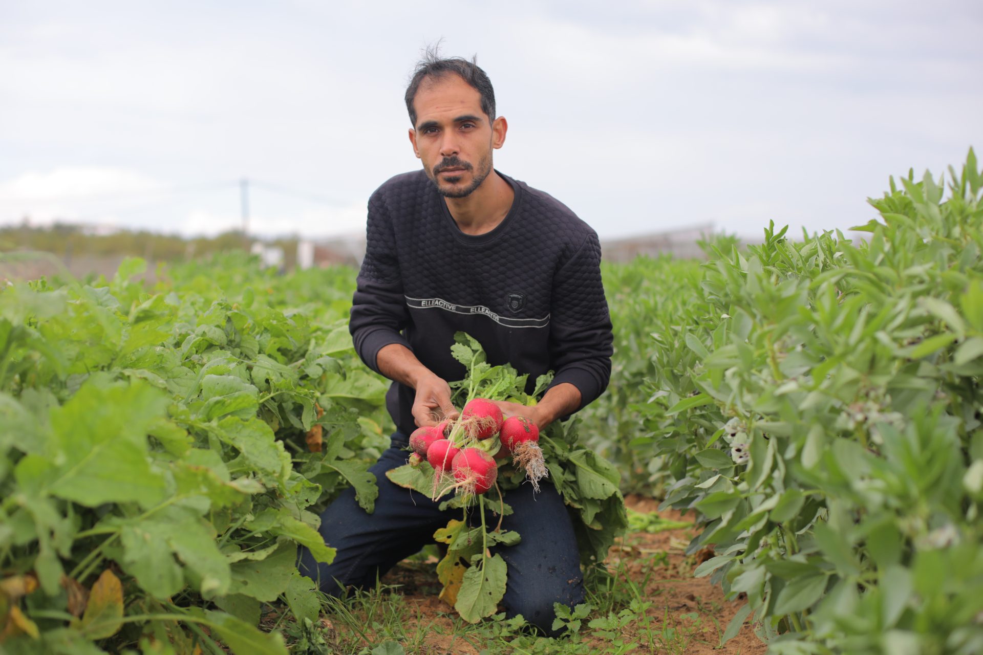 Rami, landmand i Palæstina
