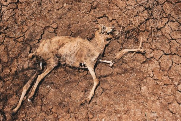 Klimakampagne analyse