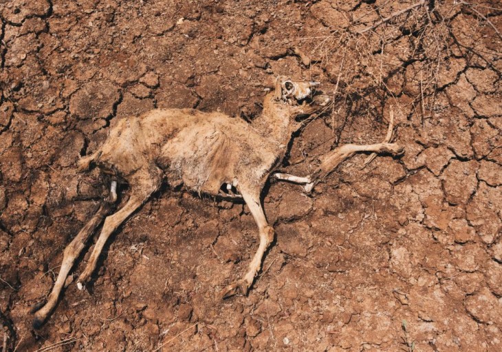 Klimakampagne analyse