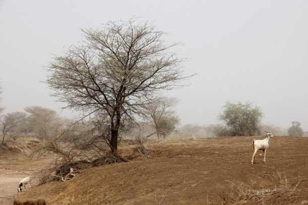 Dori Sahel regionen, Burkina Faso