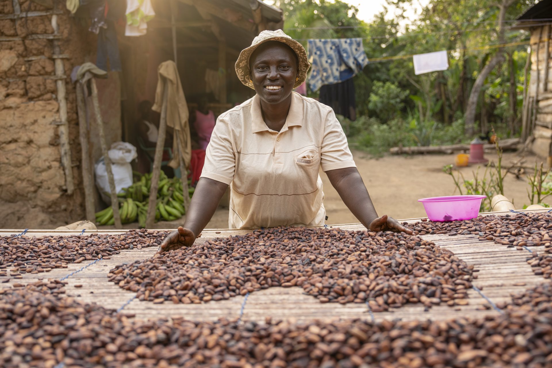 Kvinde tørrer kakaobønner på et tørrebord i Ghana.