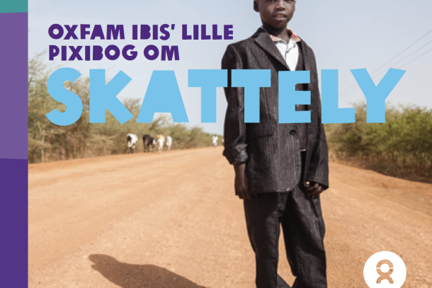 Pixibog skattely forside