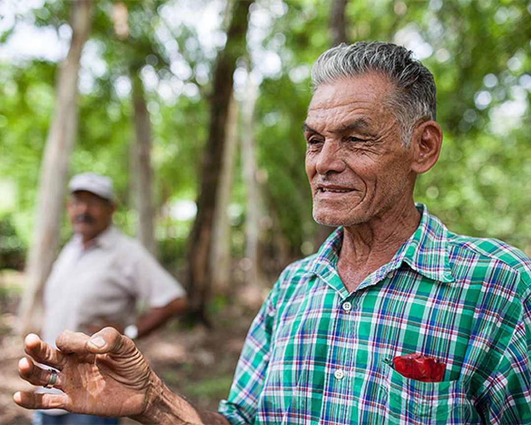 Esmir Rojas, 28, honningbonde, Nicaragua