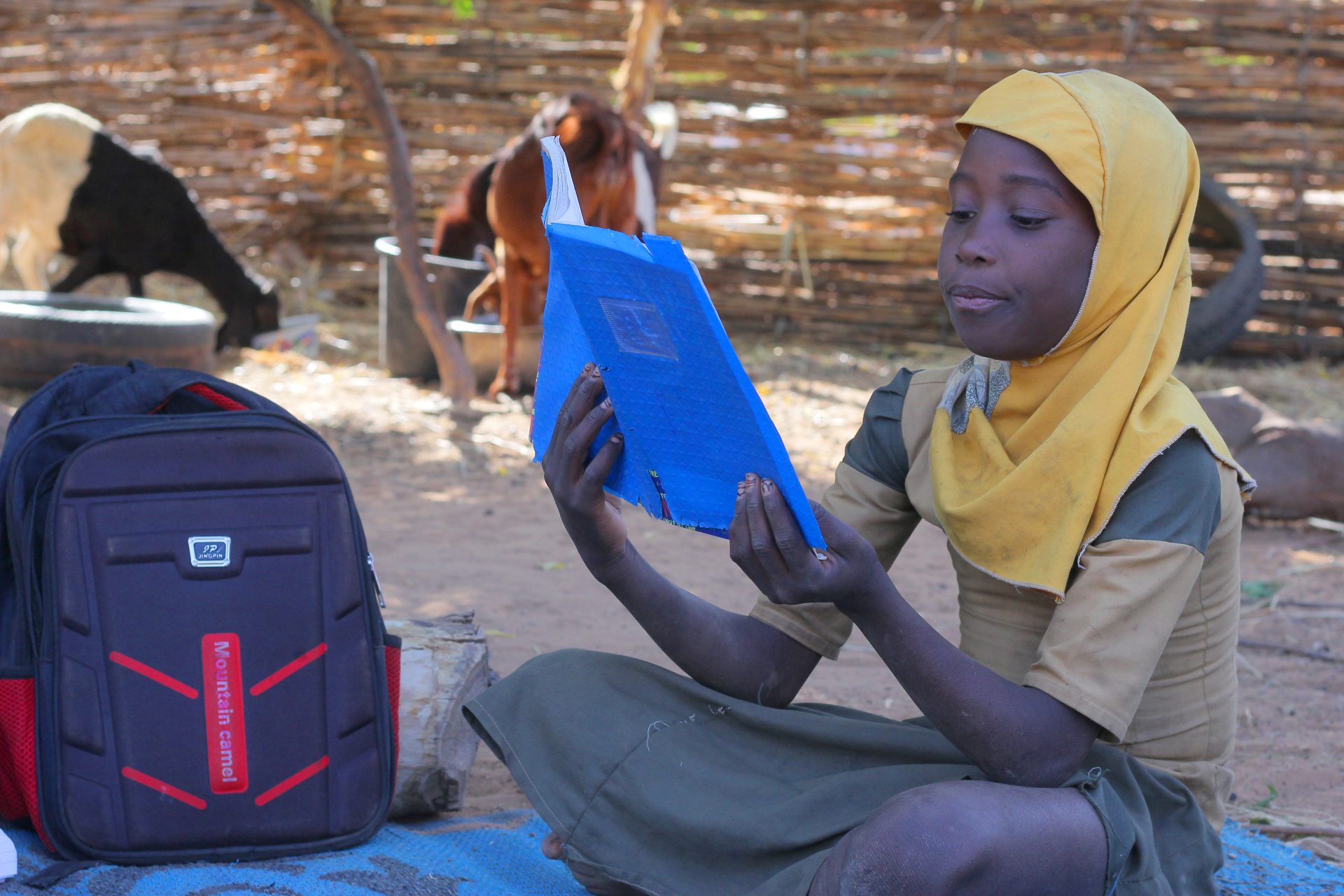 Ung pige med sin bog læser i skyggen. Bag hende går geder rundt.