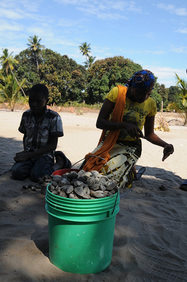 Kvinder i Andarko området i Mozambique