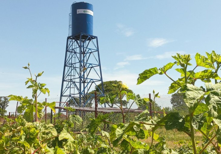 Fatoumata Coulibaly er i færd med at høste grøntsager, Mali.