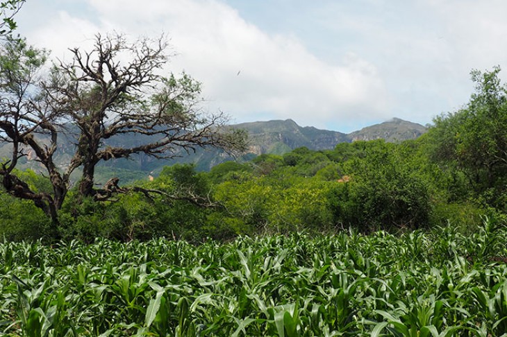 Charagua distriktet i Bolivia
