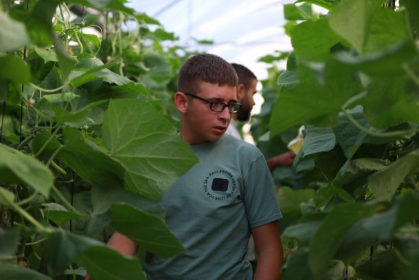 Qais, Jordan-dalen, Palæstina