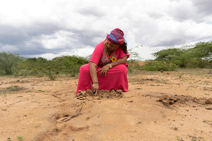 Deris i Malakis køkkenhave.