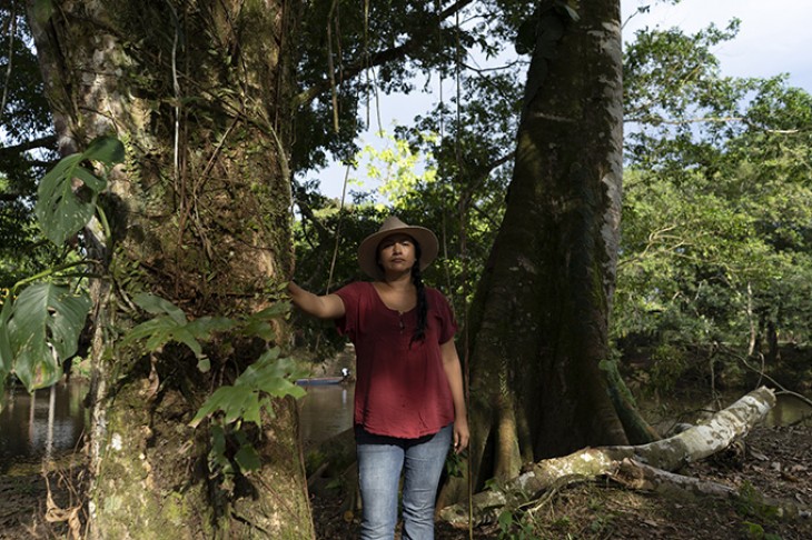 Tania Hernandez Tez - politiker, Colombia