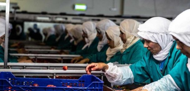 Kvinder på arbejde i Marokko