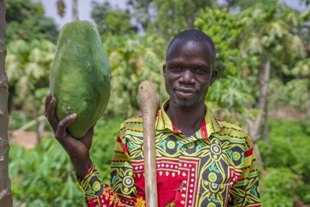 Person der holder en papaya i Mali