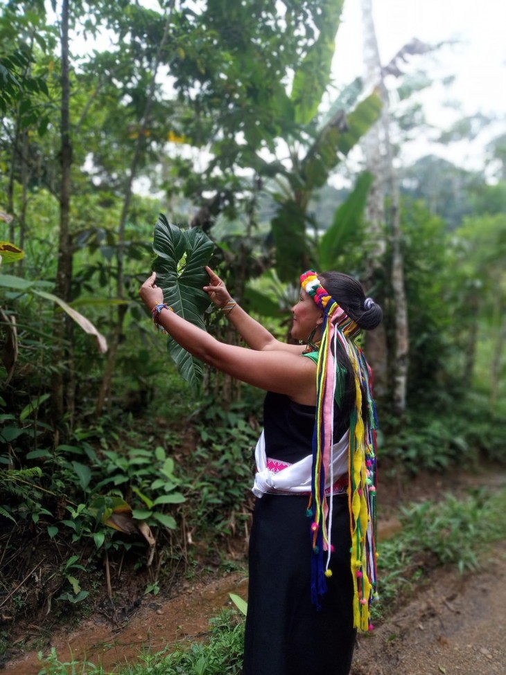 Soraida omfavner skoven