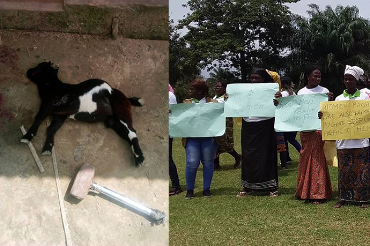 Fotocollage med gedekid og demonstrerende kvinder