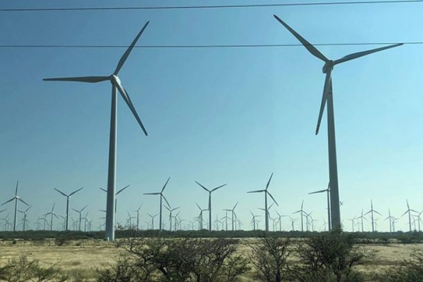 Mega vindmøllepark.